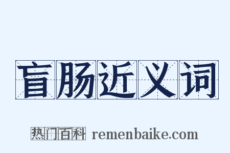 盲肠近义词是什么意思的图片